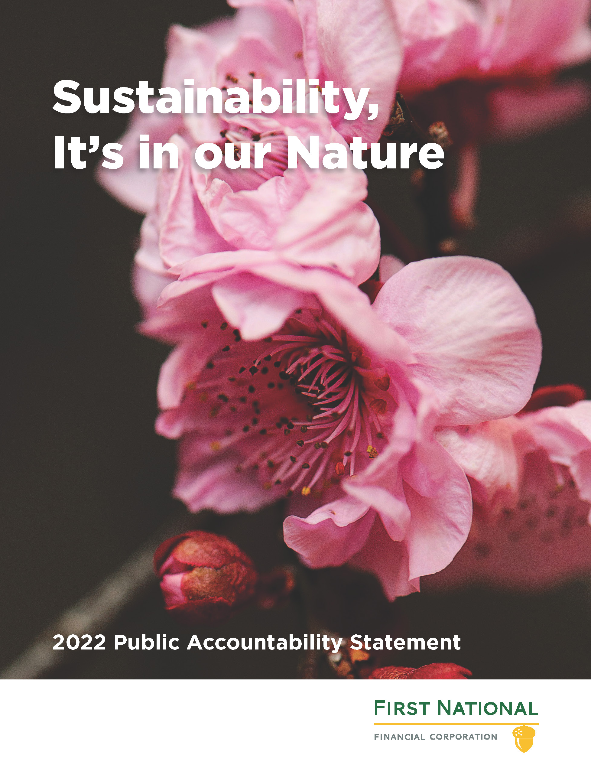 2022 Environmental Sustainability Report